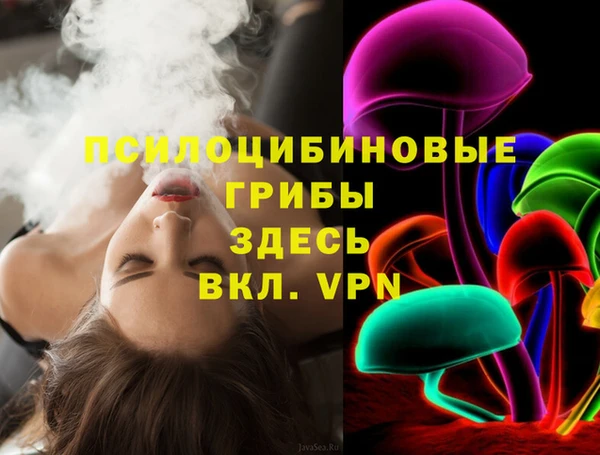 гашик Алексеевка