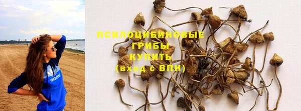 MESCALINE Армянск