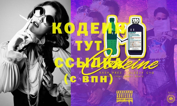 гашик Алексеевка